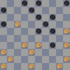 14553651571